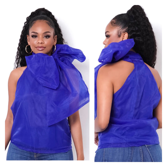 Blair Blue Sheer Top